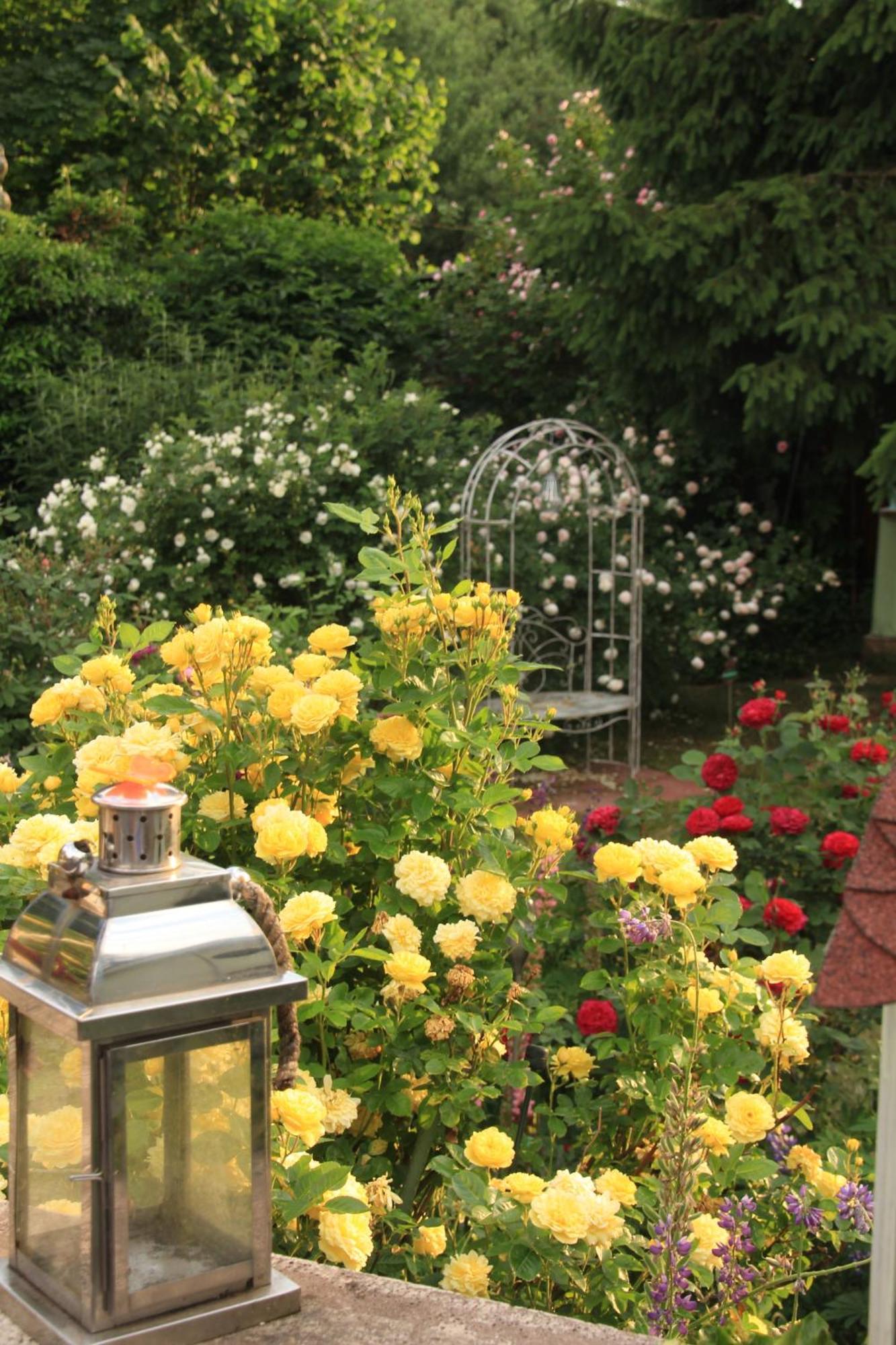 B&B Dressings Traumgarten Kaiserslautern Luaran gambar